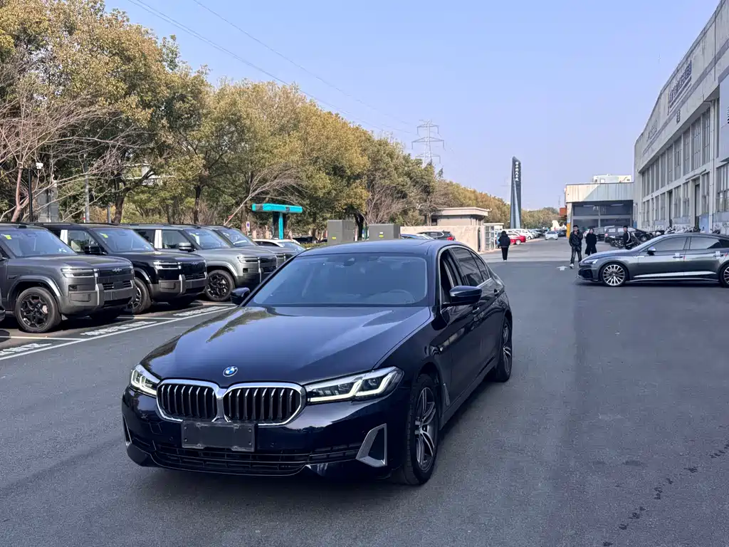 BMW BMW 5 Series 2020 530Li Leading Model M Sport Package 2020 - thumbnail 2