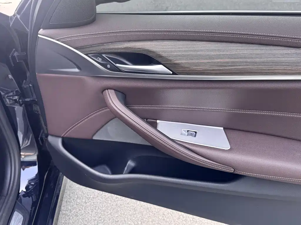 BMW BMW 5 Series 2020 530Li Leading Model M Sport Package 2020 - thumbnail 8
