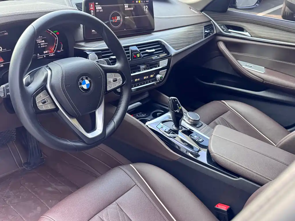 BMW BMW 5 Series 2020 530Li Leading Model M Sport Package 2020 - thumbnail 14