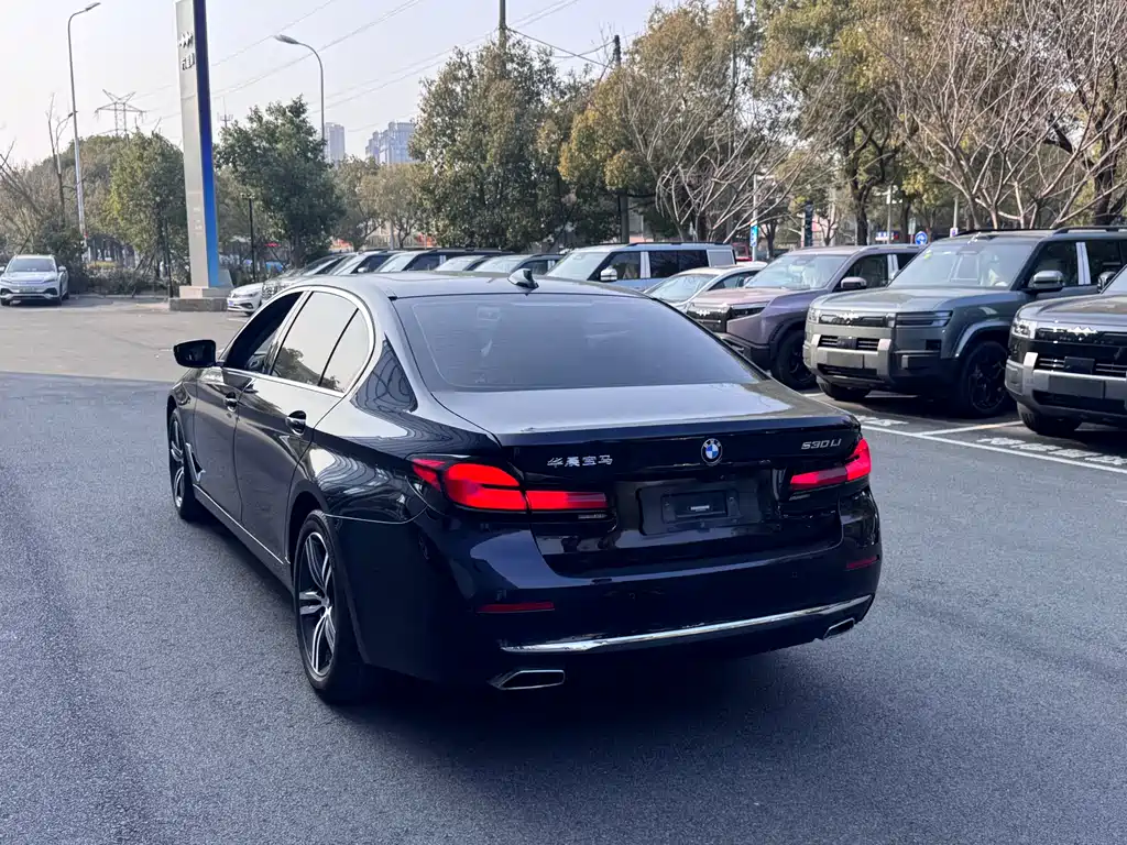 BMW BMW 5 Series 2020 530Li Leading Model M Sport Package 2020 - thumbnail 18