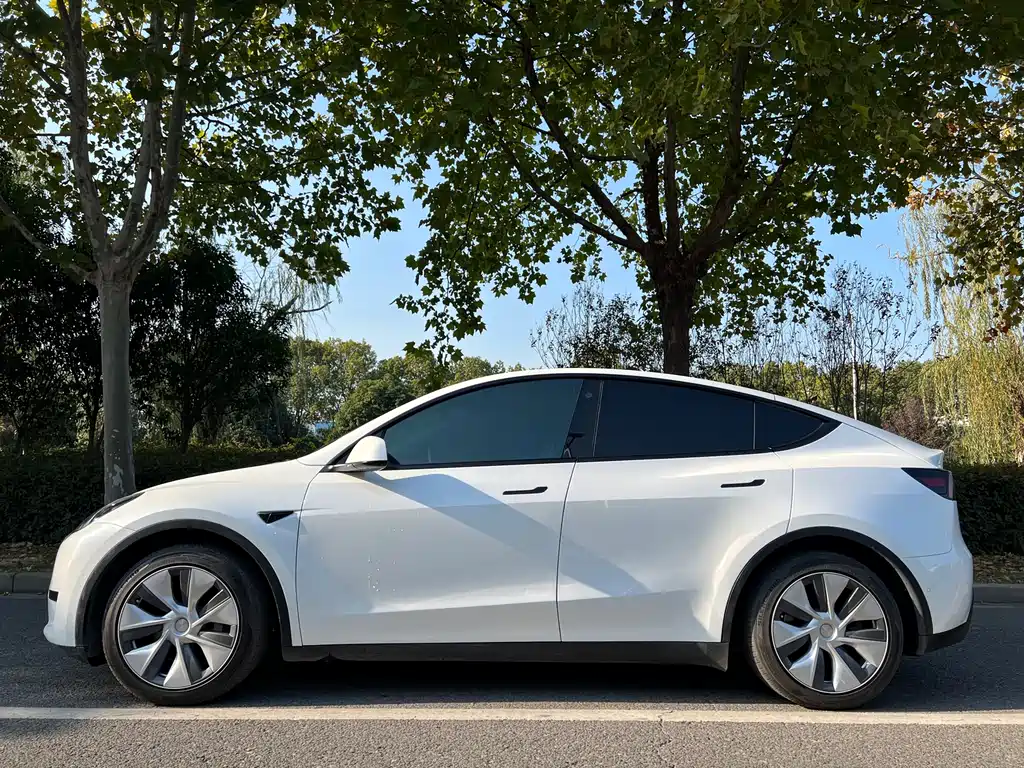 Tesla Model Y 2022 Rear-Wheel Drive 2022 - thumbnail 2