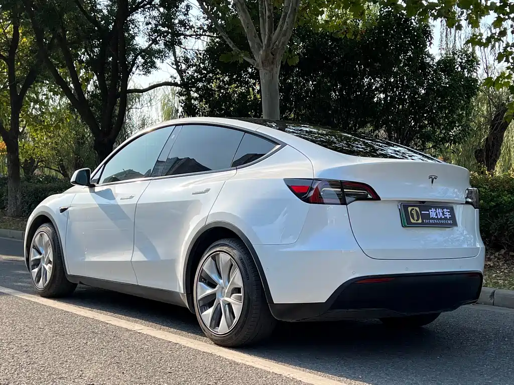Tesla Model Y 2022 Rear-Wheel Drive 2022 - thumbnail 3