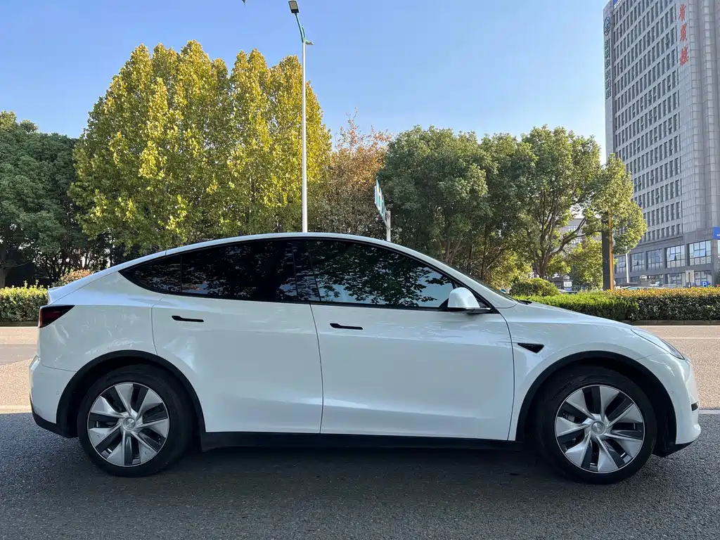 Tesla Model Y 2022 Rear-Wheel Drive 2022 - thumbnail 6
