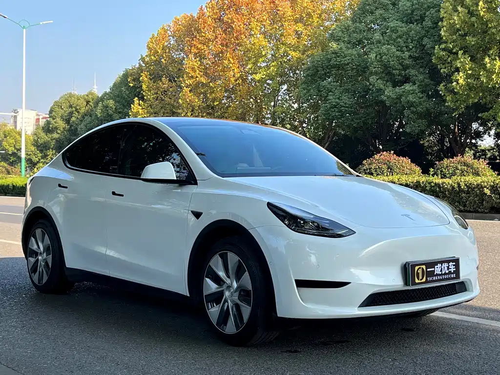 Tesla Model Y 2022 Rear-Wheel Drive 2022 - thumbnail 7