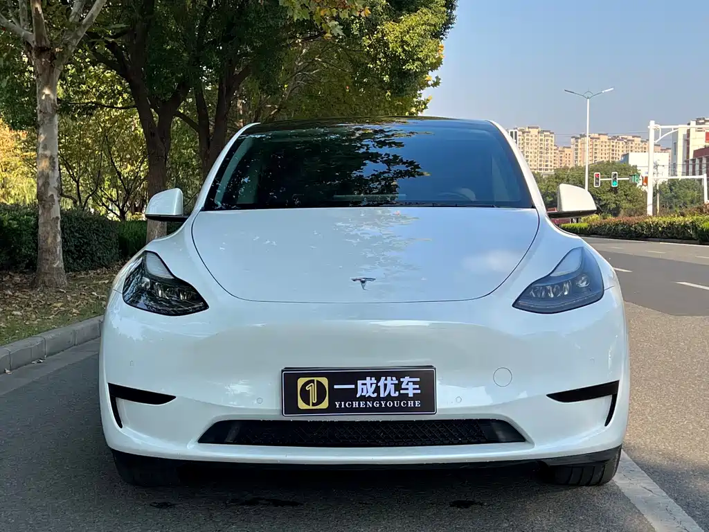 Tesla Model Y 2022 Rear-Wheel Drive 2022 - thumbnail 8