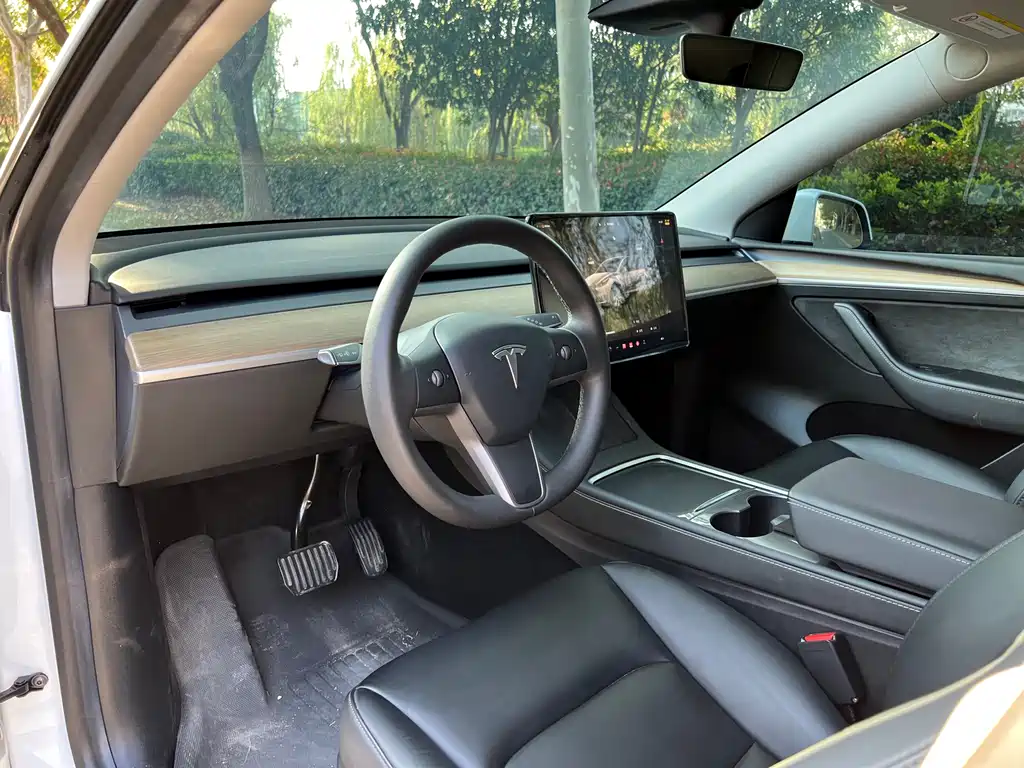 Tesla Model Y 2022 Rear-Wheel Drive 2022 - thumbnail 10