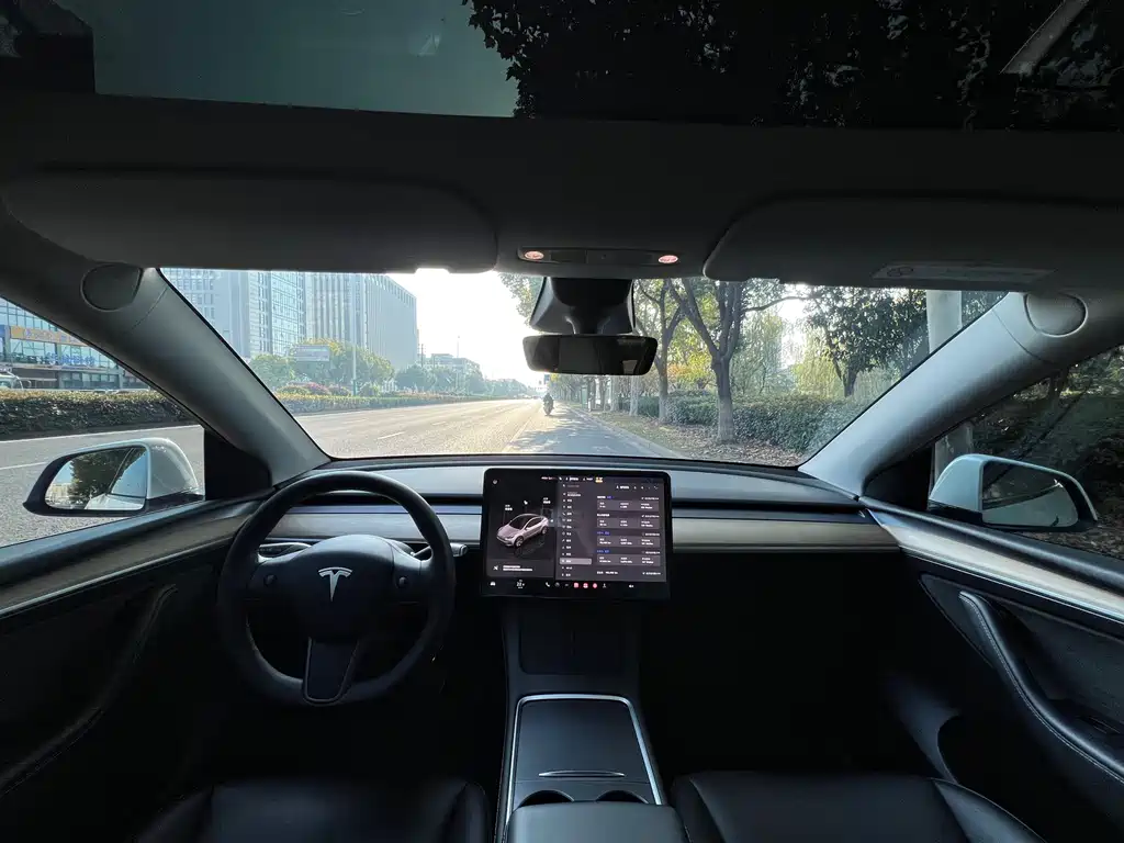 Tesla Model Y 2022 Rear-Wheel Drive 2022 - thumbnail 16