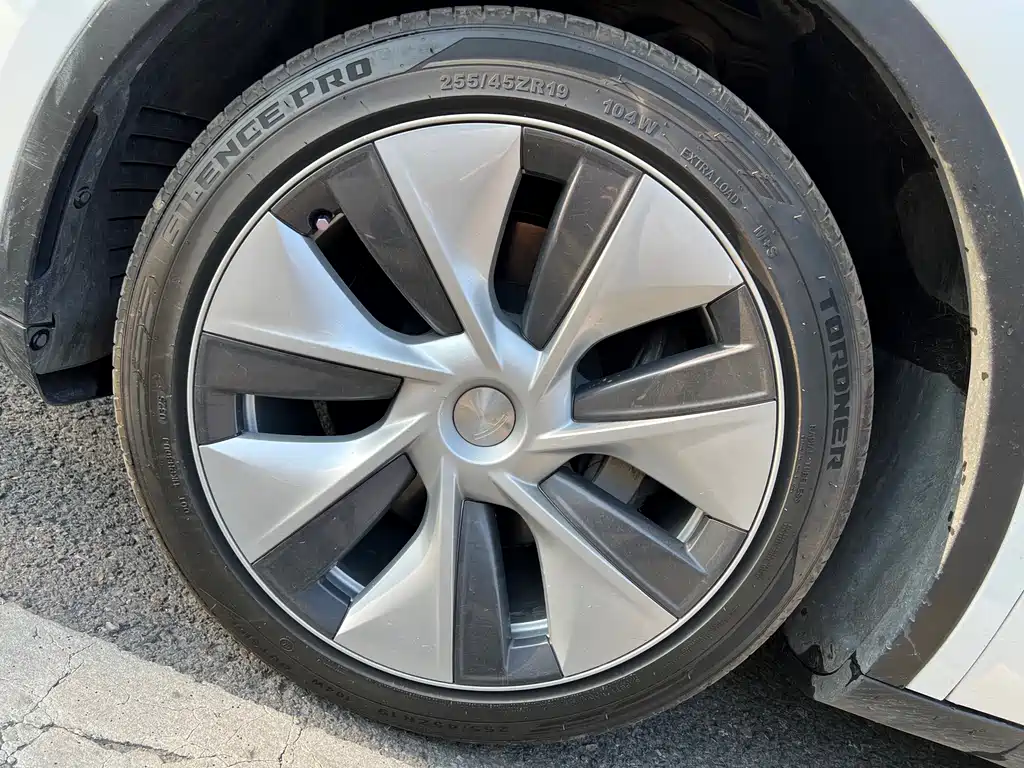 Tesla Model Y 2022 Rear-Wheel Drive 2022 - thumbnail 18