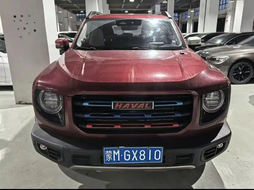 Haval Haval Big Dog 2022 1.5T DCT 2WD Border Collie Edition 2023 - thumbnail 2