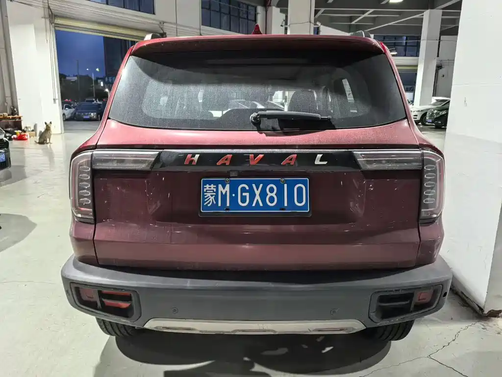 Haval Haval Big Dog 2022 1.5T DCT 2WD Border Collie Edition 2023 - thumbnail 5