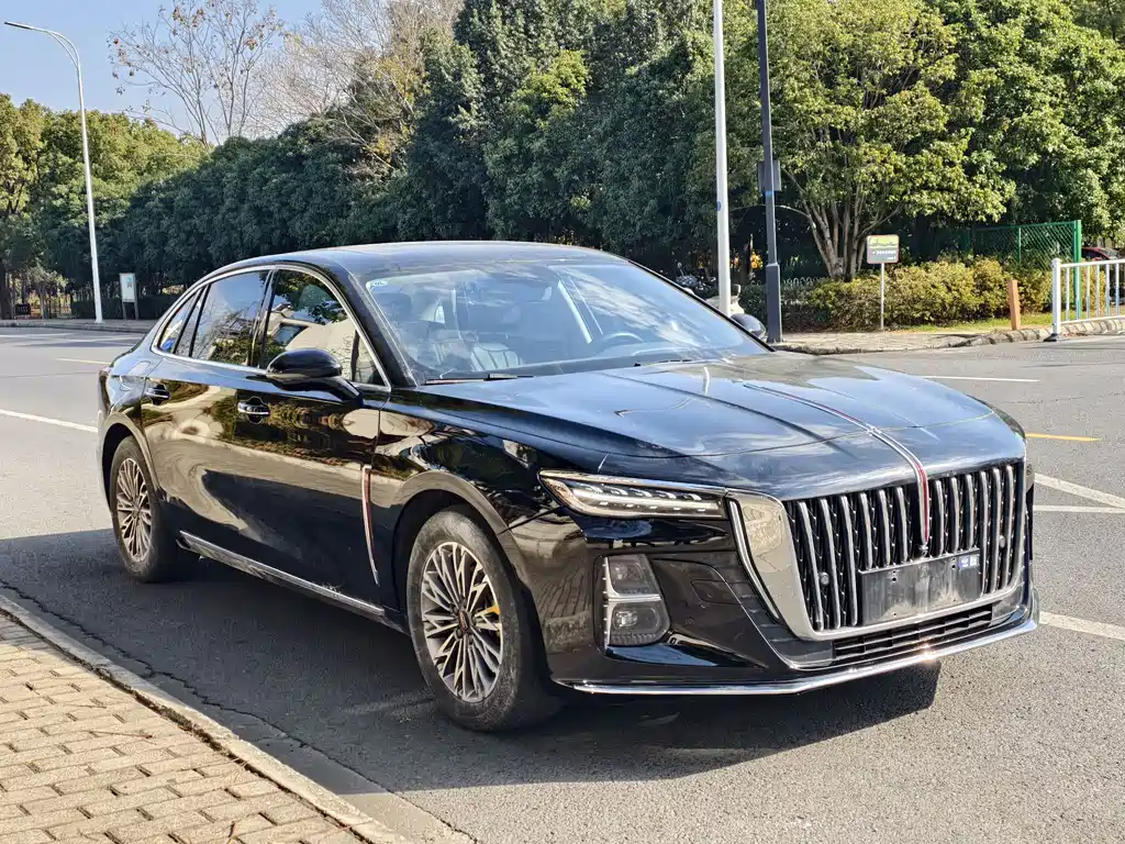 Hongqi Hongqi H5 2023 1.5T DCT SmartLink FlagJoy Edition 2023 - thumbnail 3