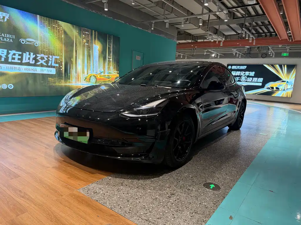 Tesla Model 3 2021 Standard Range Rear-Wheel Drive Enhanced Version 3D6 2021