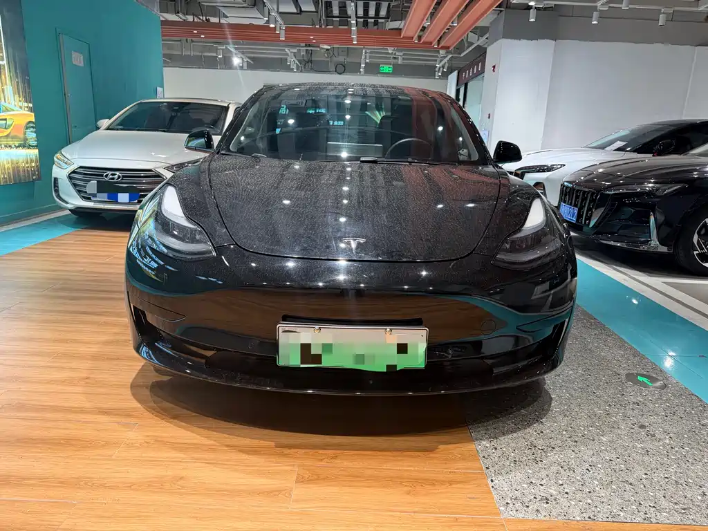 Tesla Model 3 2021 Standard Range Rear-Wheel Drive Enhanced Version 3D6 2021 - thumbnail 2