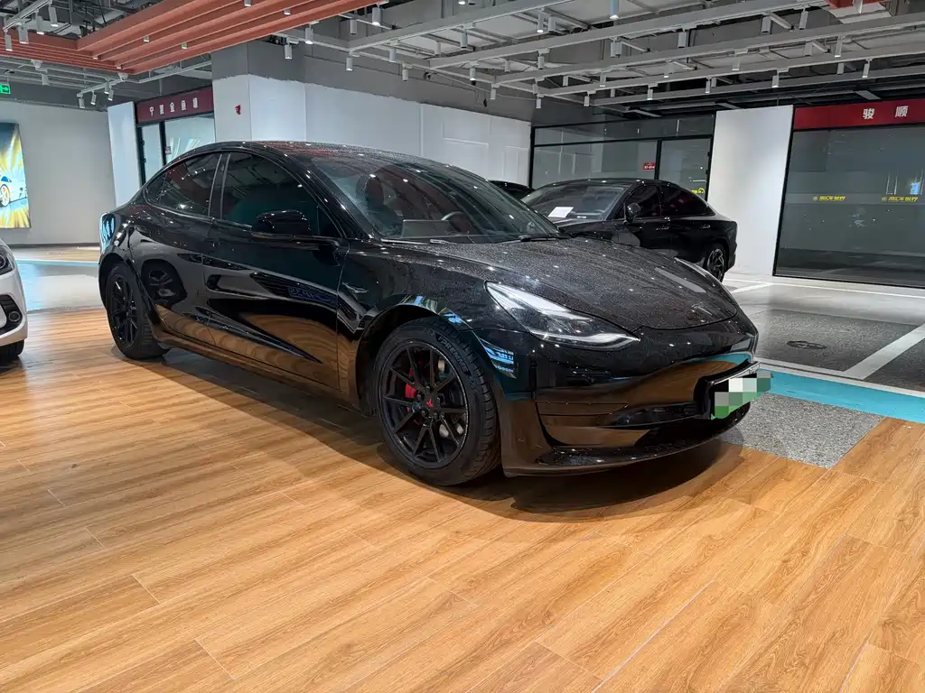 Tesla Model 3 2021 Standard Range Rear-Wheel Drive Enhanced Version 3D6 2021 - thumbnail 3
