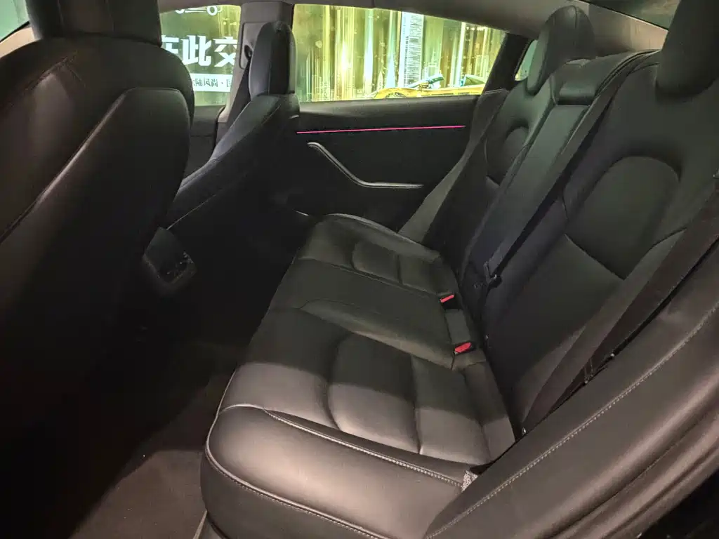 Tesla Model 3 2021 Standard Range Rear-Wheel Drive Enhanced Version 3D6 2021 - thumbnail 8