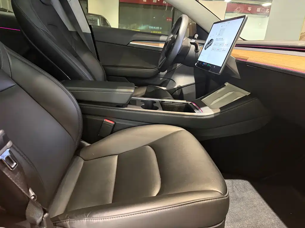 Tesla Model 3 2021 Standard Range Rear-Wheel Drive Enhanced Version 3D6 2021 - thumbnail 9