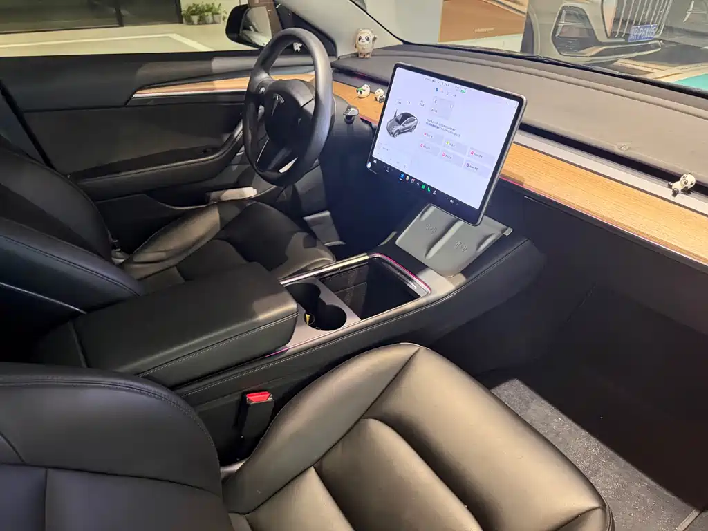 Tesla Model 3 2021 Standard Range Rear-Wheel Drive Enhanced Version 3D6 2021 - thumbnail 10