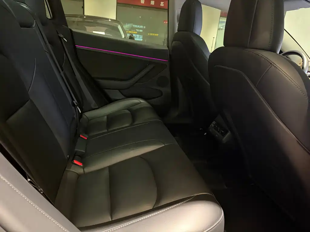 Tesla Model 3 2021 Standard Range Rear-Wheel Drive Enhanced Version 3D6 2021 - thumbnail 11