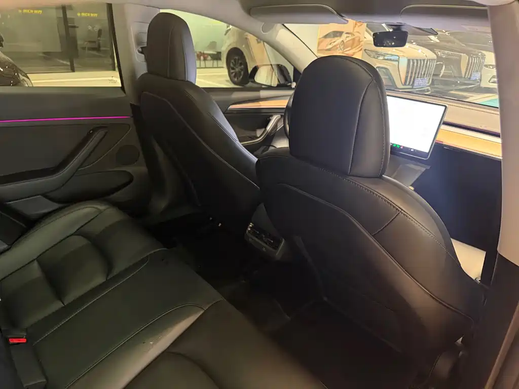 Tesla Model 3 2021 Standard Range Rear-Wheel Drive Enhanced Version 3D6 2021 - thumbnail 12