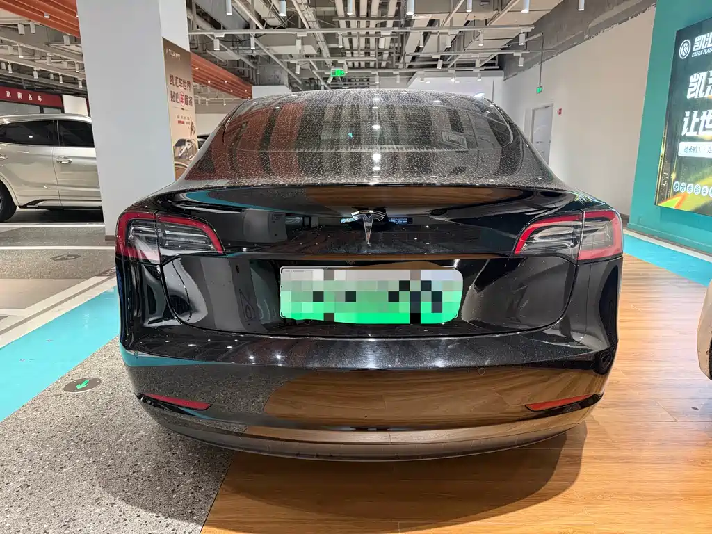 Tesla Model 3 2021 Standard Range Rear-Wheel Drive Enhanced Version 3D6 2021 - thumbnail 15