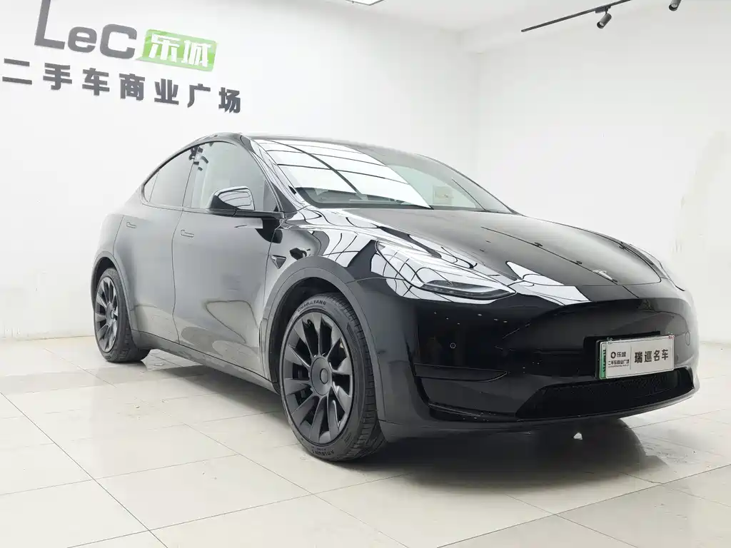 Tesla Model Y 2022 Rear-Wheel Drive 2023 - thumbnail 2