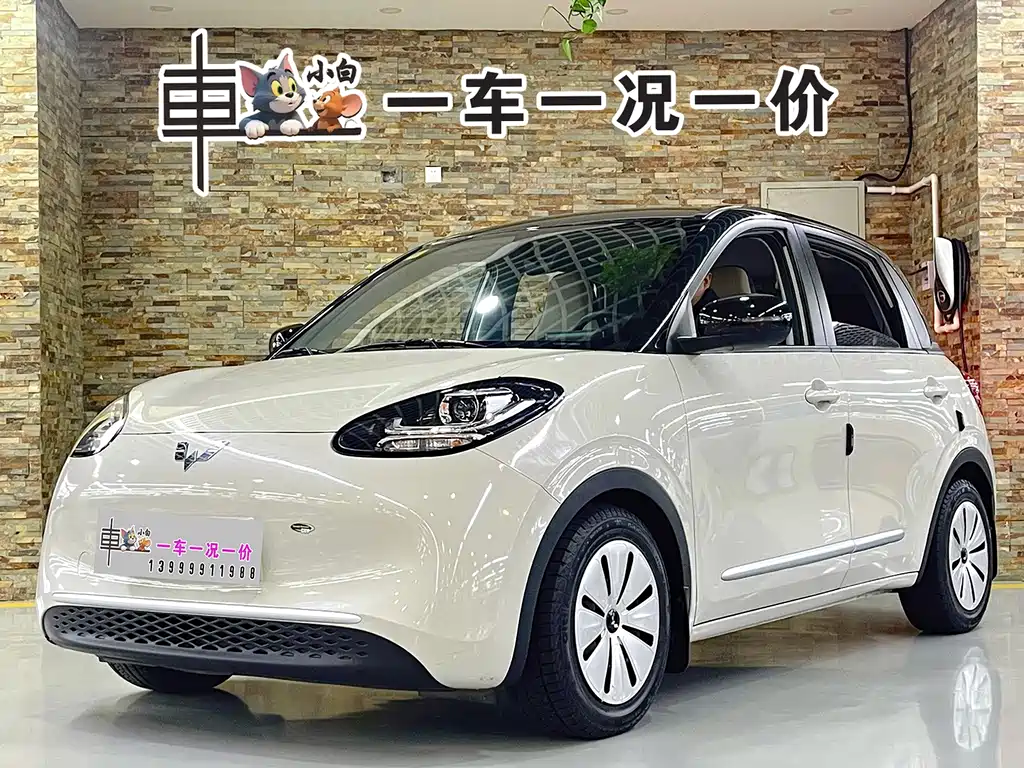 Wuling Motors Wuling Binguo 2025 Model 203km Light Enjoyment Edition 2024