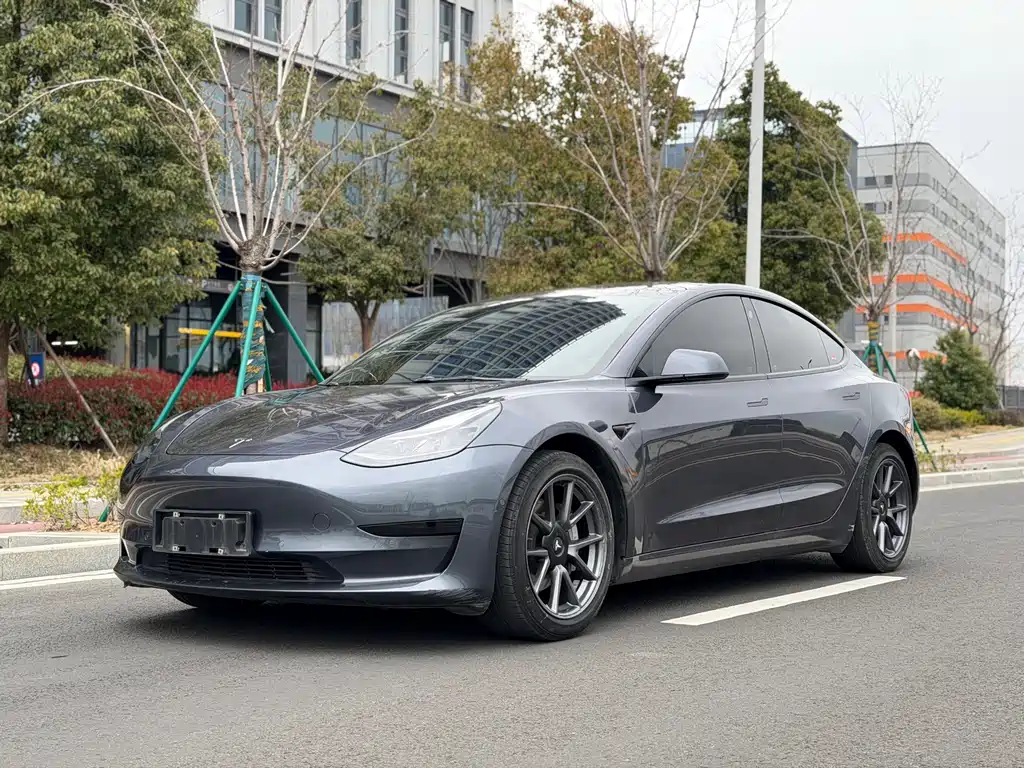 Tesla Model 3 2021 Standard Range Rear-Wheel Drive Plus 3D1 2021