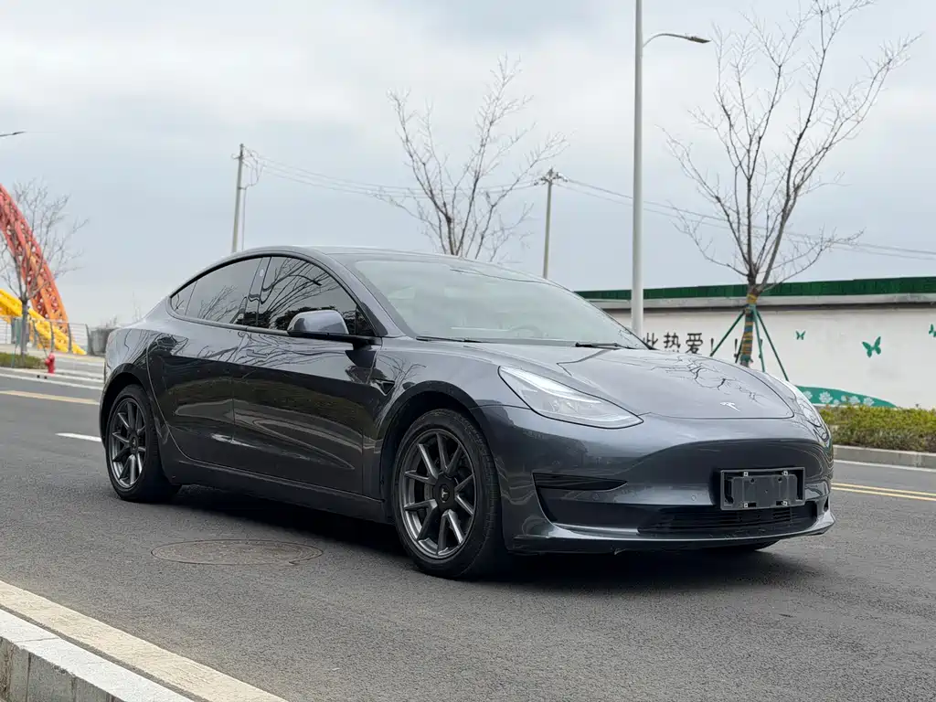 Tesla Model 3 2021 Standard Range Rear-Wheel Drive Plus 3D1 2021 - thumbnail 3