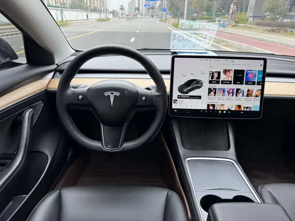 Tesla Model 3 2021 Standard Range Rear-Wheel Drive Plus 3D1 2021 - thumbnail 6