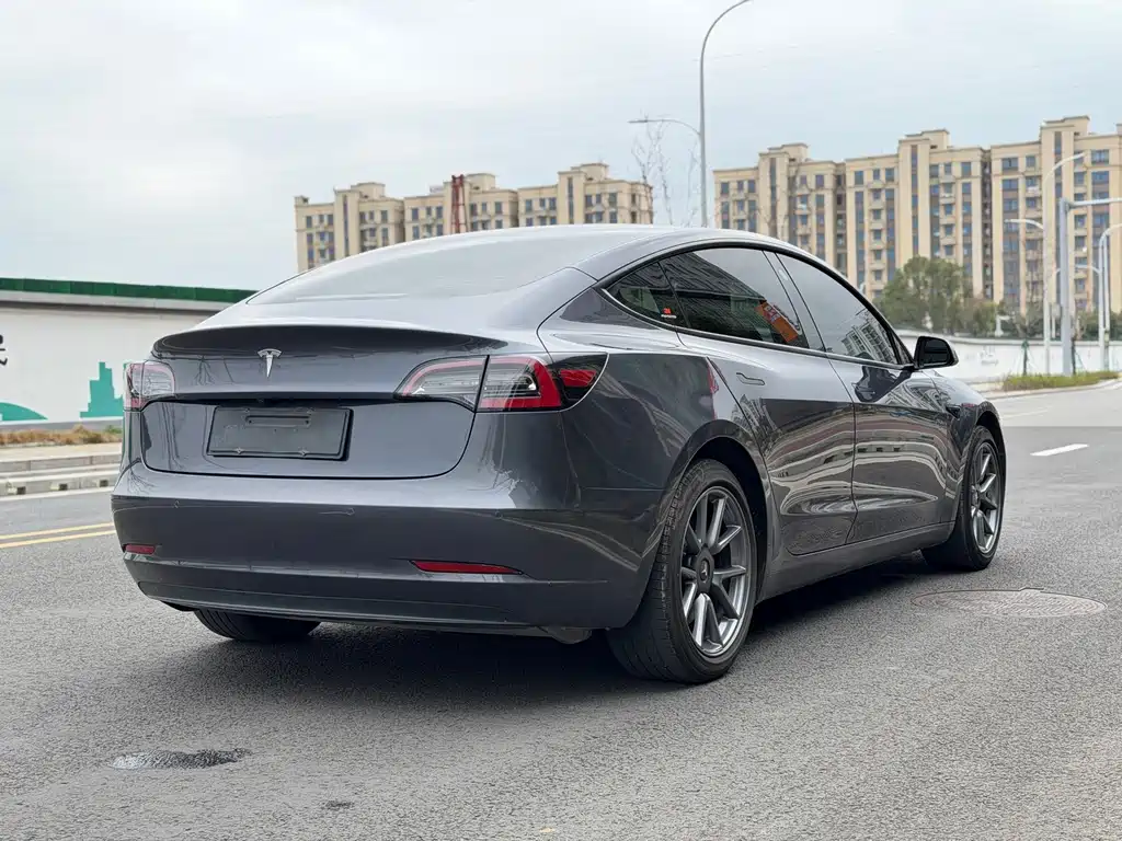 Tesla Model 3 2021 Standard Range Rear-Wheel Drive Plus 3D1 2021 - thumbnail 10
