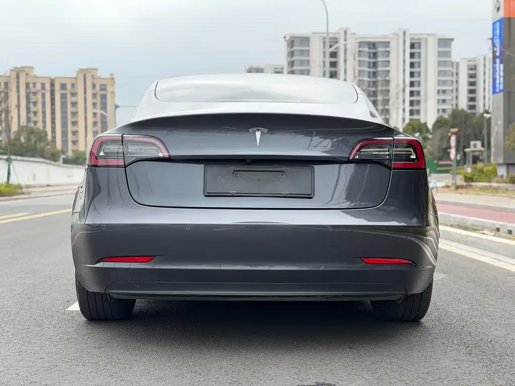Tesla Model 3 2021 Standard Range Rear-Wheel Drive Plus 3D1 2021 - thumbnail 11