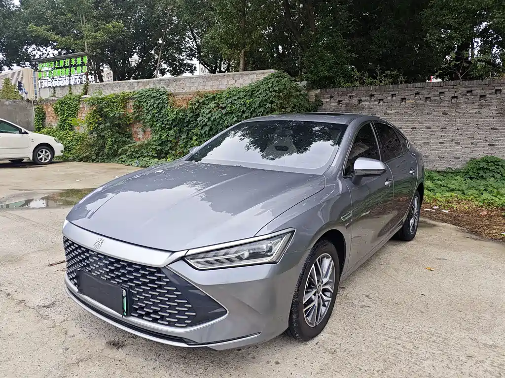 BYD BYD Qin PLUS 2023 Champion Edition DM-i 120KM Leading Model 2023 - thumbnail 2