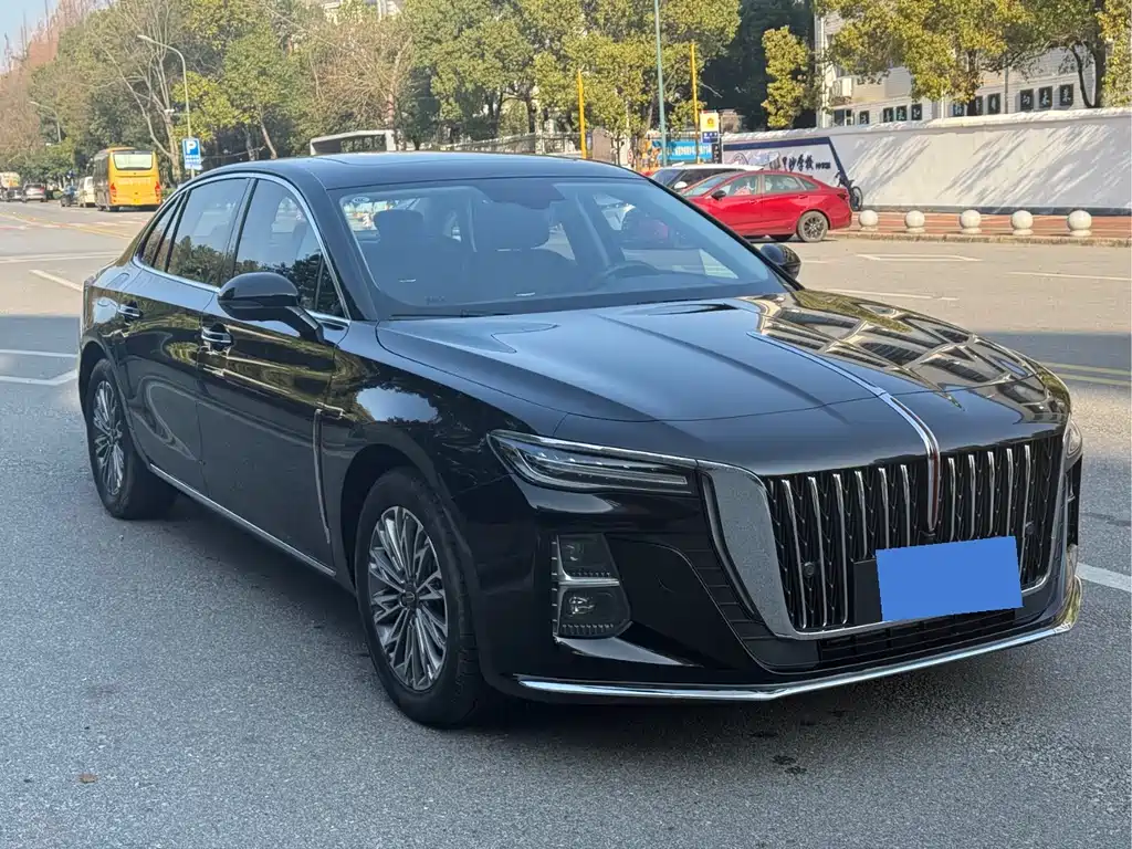 Hongqi Hongqi H5 2023 1.5T DCT SmartLink FlagJoy Edition 2023 - thumbnail 3