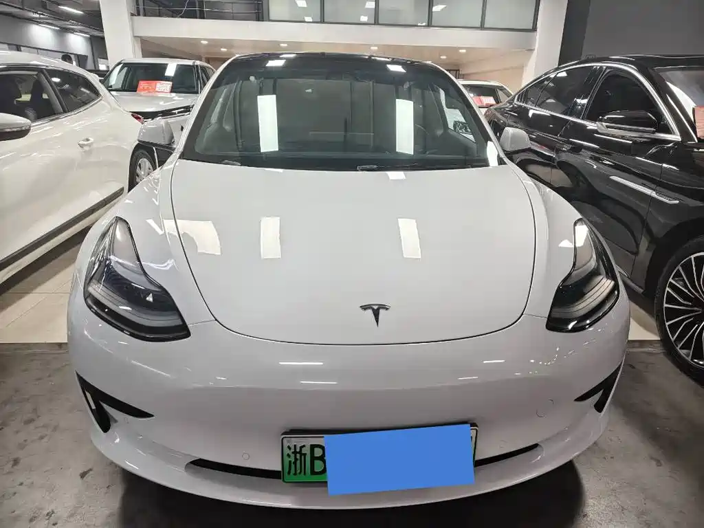 Tesla Model 3 2021 Standard Range Rear-Wheel Drive Enhanced Version 3D6 2022 - thumbnail 2