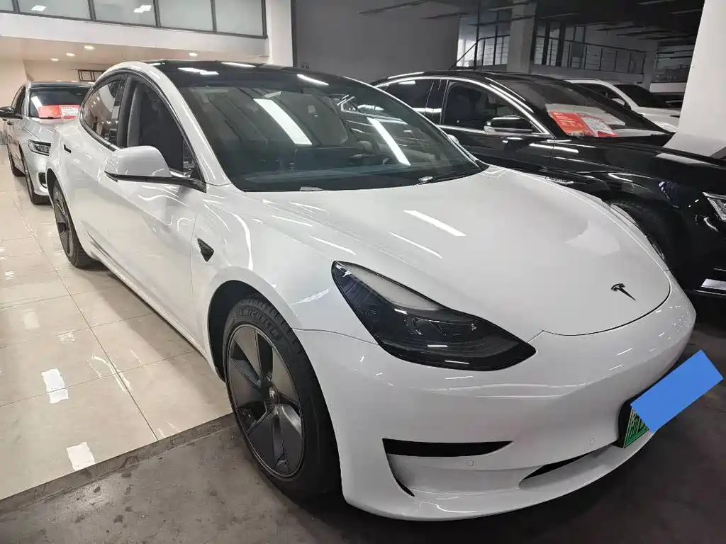 Tesla Model 3 2021 Standard Range Rear-Wheel Drive Enhanced Version 3D6 2022 - thumbnail 3
