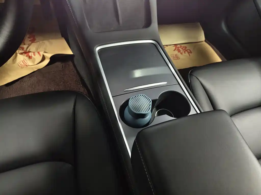 Tesla Model 3 2021 Standard Range Rear-Wheel Drive Enhanced Version 3D6 2022 - thumbnail 6