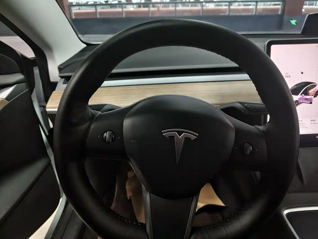 Tesla Model 3 2021 Standard Range Rear-Wheel Drive Enhanced Version 3D6 2022 - thumbnail 7