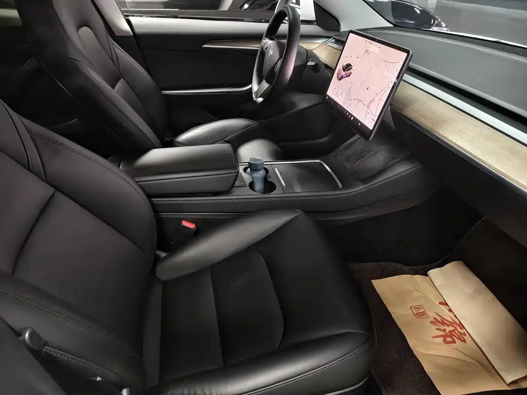 Tesla Model 3 2021 Standard Range Rear-Wheel Drive Enhanced Version 3D6 2022 - thumbnail 10