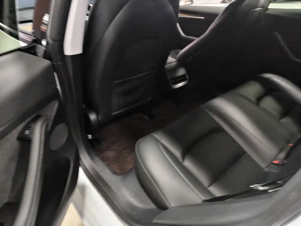 Tesla Model 3 2021 Standard Range Rear-Wheel Drive Enhanced Version 3D6 2022 - thumbnail 14