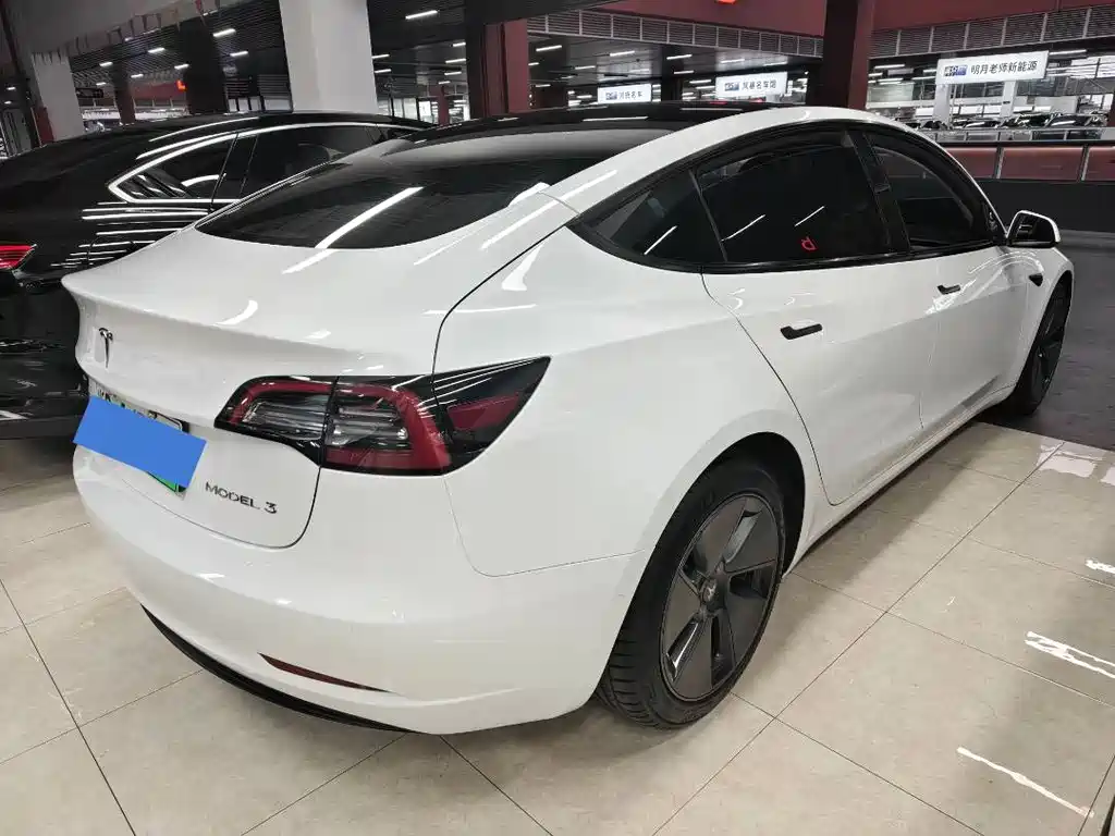 Tesla Model 3 2021 Standard Range Rear-Wheel Drive Enhanced Version 3D6 2022 - thumbnail 17