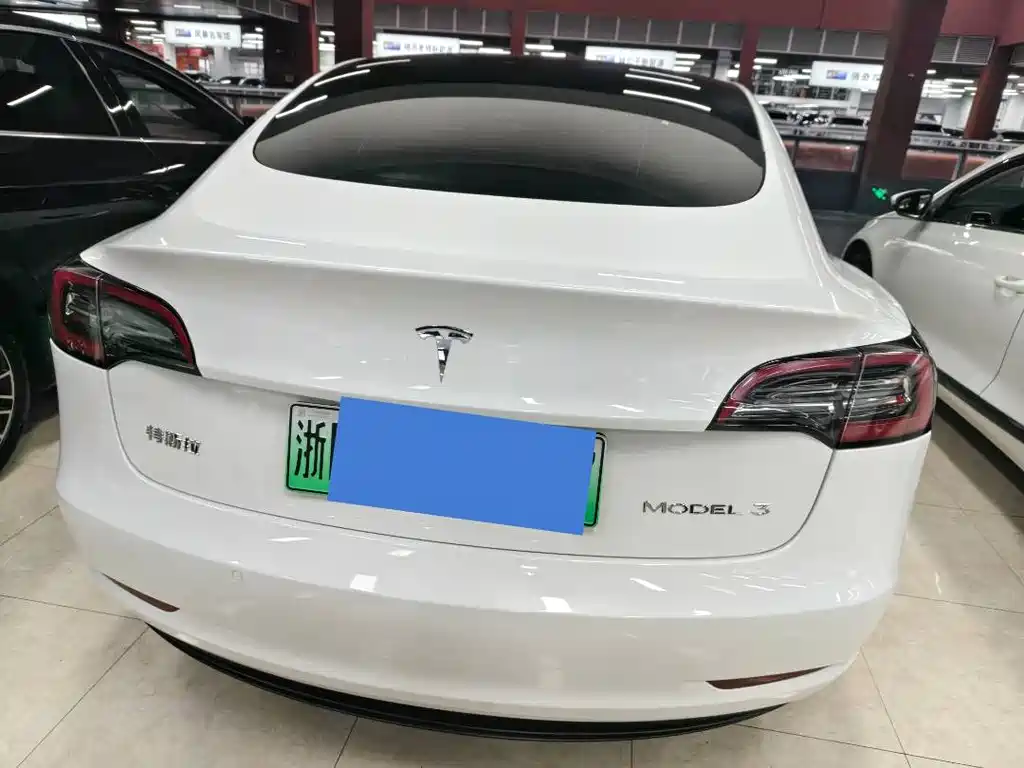 Tesla Model 3 2021 Standard Range Rear-Wheel Drive Enhanced Version 3D6 2022 - thumbnail 18