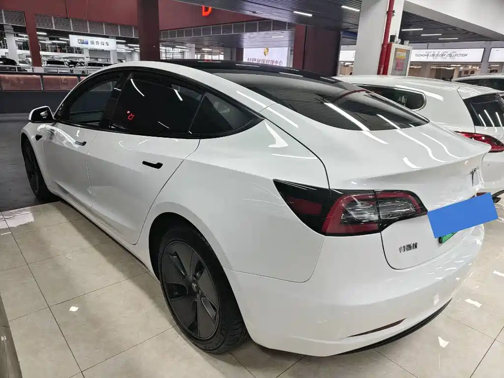 Tesla Model 3 2021 Standard Range Rear-Wheel Drive Enhanced Version 3D6 2022 - thumbnail 19