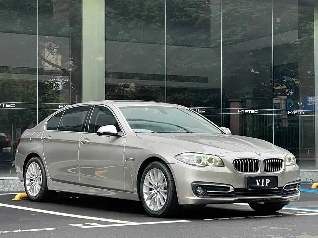 BMW BMW 5 Series 2017 525Li Leading Model 2016 - thumbnail 2
