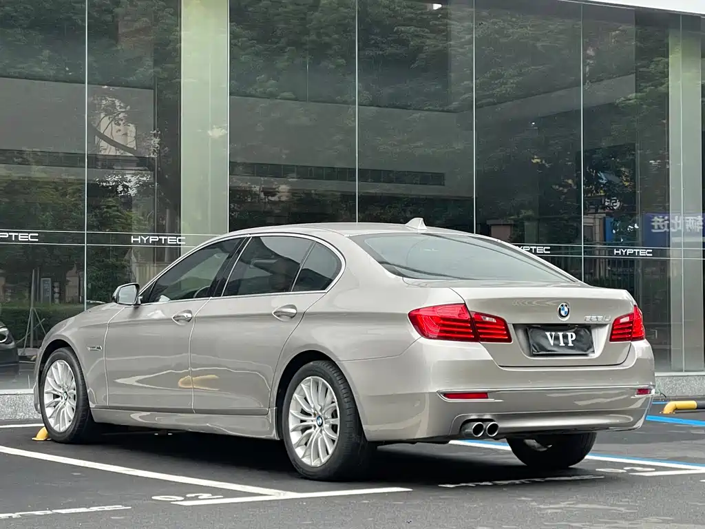 BMW BMW 5 Series 2017 525Li Leading Model 2016 - thumbnail 9