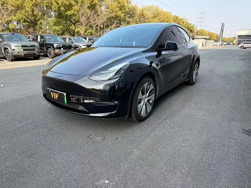 Tesla Model Y 2024 Rear-Wheel Drive Version 2025