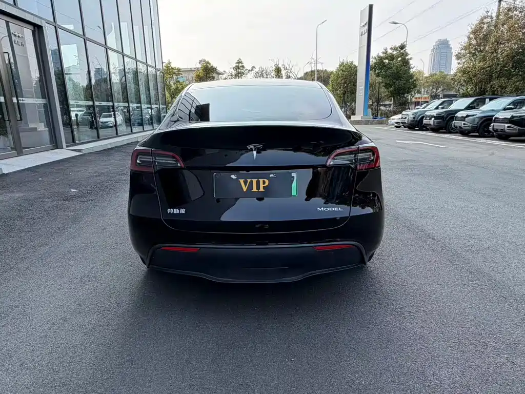 Tesla Model Y 2024 Rear-Wheel Drive Version 2025 - thumbnail 11