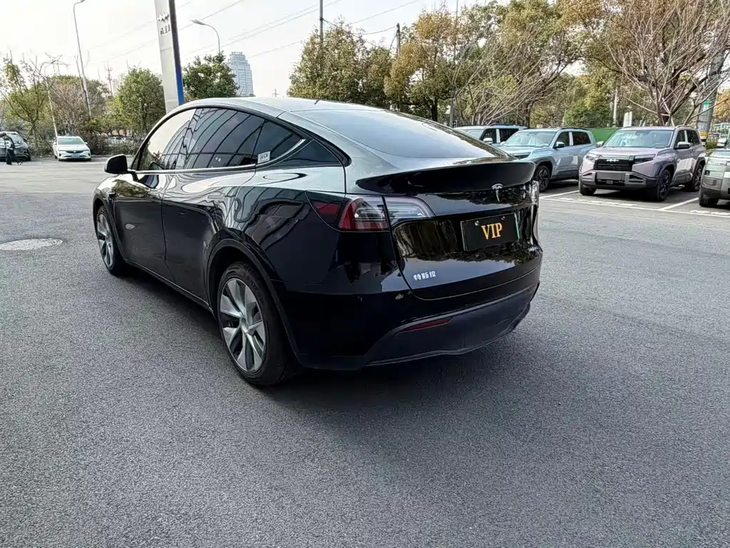 Tesla Model Y 2024 Rear-Wheel Drive Version 2025 - thumbnail 12