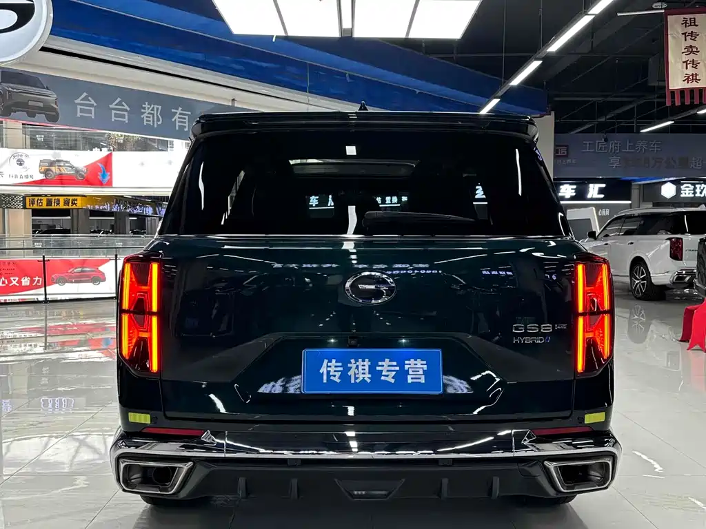 GAC Trumpchi GAC Trumpchi GS8 2024 Dual Engine Series 2.0TM AWD Premium Edition 2024 - thumbnail 6