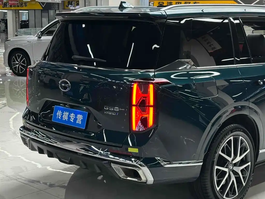 GAC Trumpchi GAC Trumpchi GS8 2024 Dual Engine Series 2.0TM AWD Premium Edition 2024 - thumbnail 7