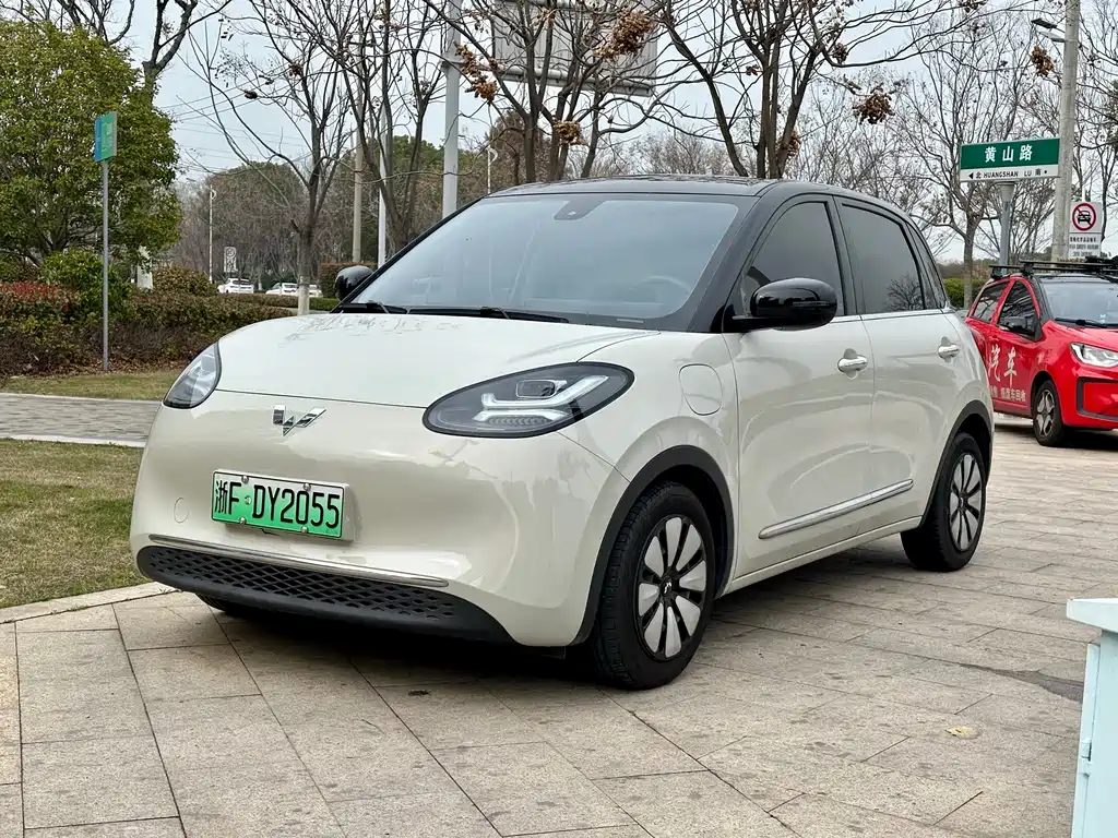 Wuling Motors Wuling Binguo 2023 333km Lingxi Smart Connect+ Edition 2023